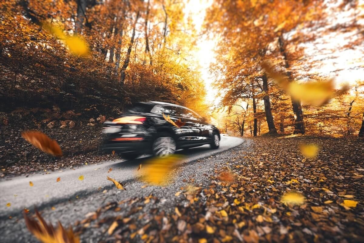 Auto fährt durch Herbstwald